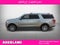 2024 Ford Expedition Limited MAX