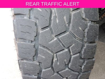 2025 Ford F-250 Platinum