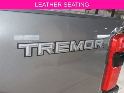 2025 Ford F-250 Platinum