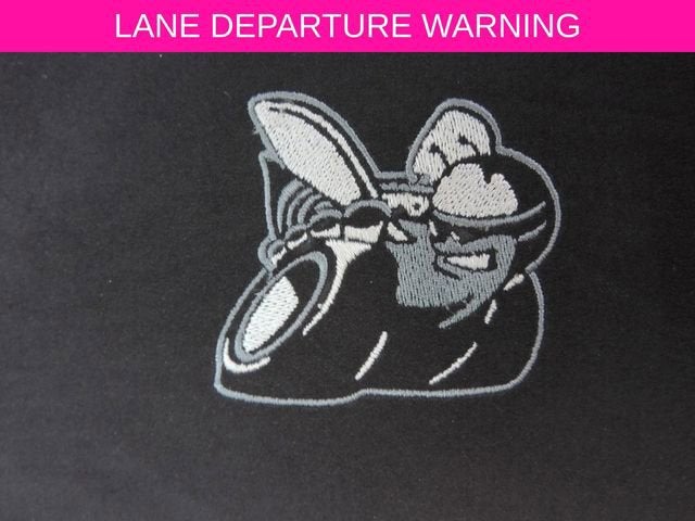 2019 Dodge Charger Scat Pack RWD